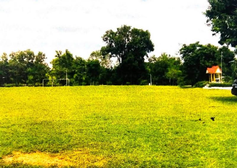 แนบภาพ